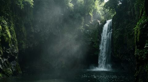Waterfall in tropical jungle